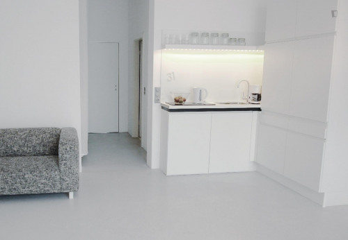 1-bedroom apartment, with outdoor area