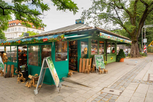 Cozy single bedroom in a 5 bedroom apartment in Altstadt-Lehel