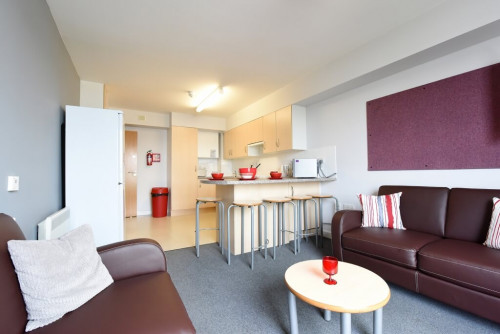 New Carnegie Court  - Gallery -  2