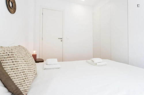 Lovely Apartment near Chiado and Principe Real
