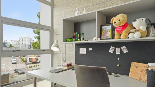Student Living Auckland - Gallery - 33
