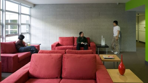 Student Living Auckland - Gallery - 22