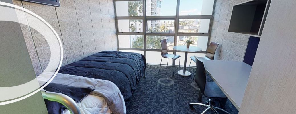  Studio - Beach  -  Student Living Auckland  - Gallery -  2