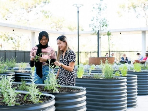 UniLodge at Curtin - Twin Dolphin Hall - Gallery - 7